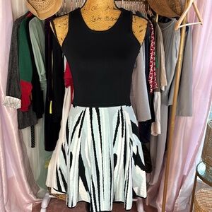 Parker Sleeveless Fit & Flare Dress Sz XS